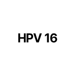 HPV 16형